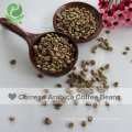 For Sale Yunnan Arabica Green Coffee Beans